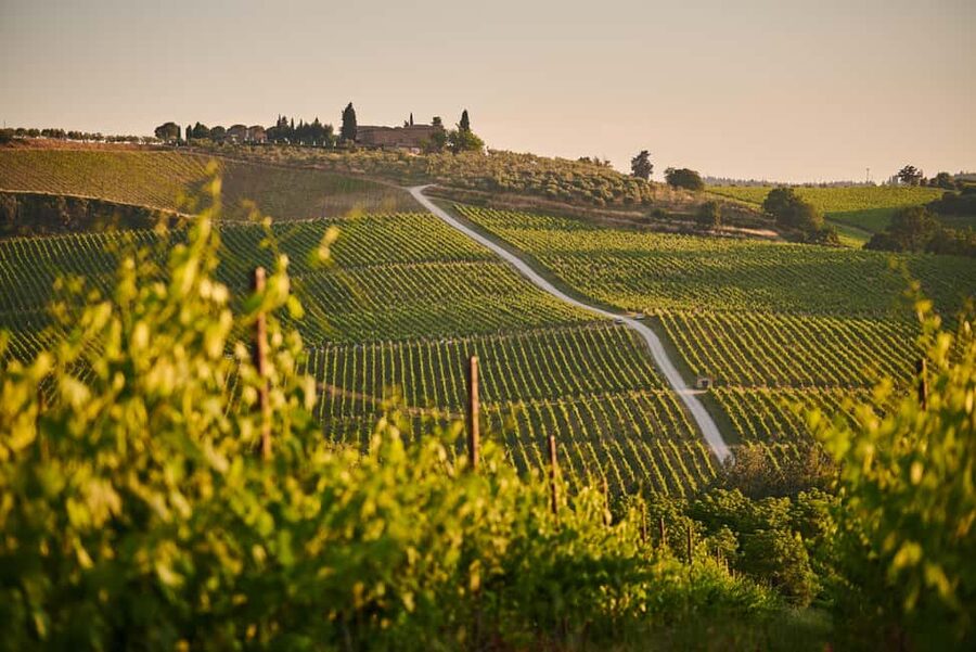 From Florence: Chianti Wine Tour with Driver-Guide - Practical details before you book