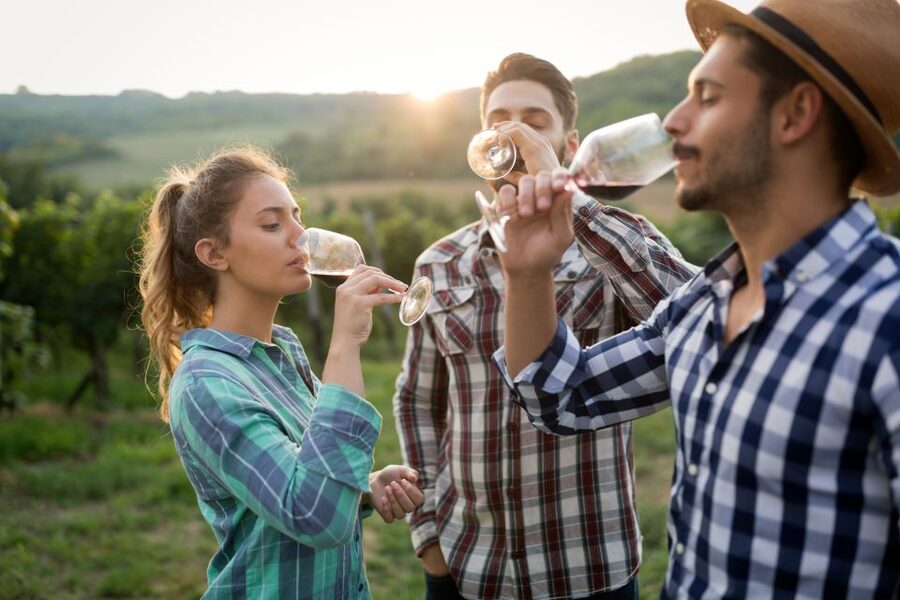 From Florence: Chianti Wine Tour with Tasting - Practical details that affect your day