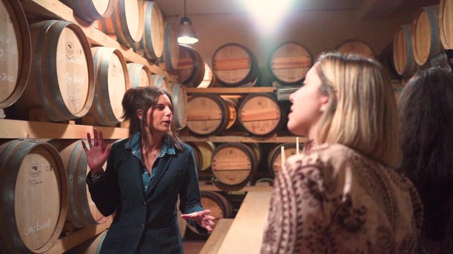 From Florence: Chianti Wine Tour with Tastings - What the Wine Tasting Actually Covers