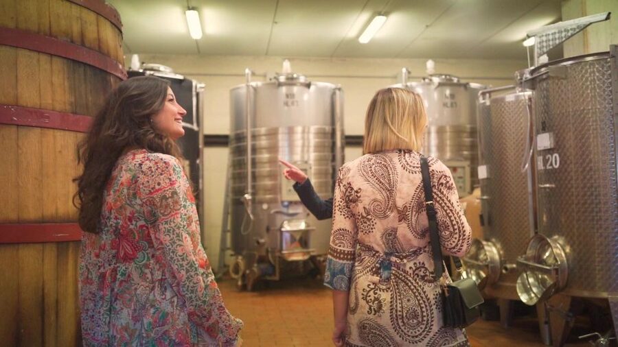 From Florence: Chianti Wine Tour with Tastings - Walking, Clothing, and Accessibility