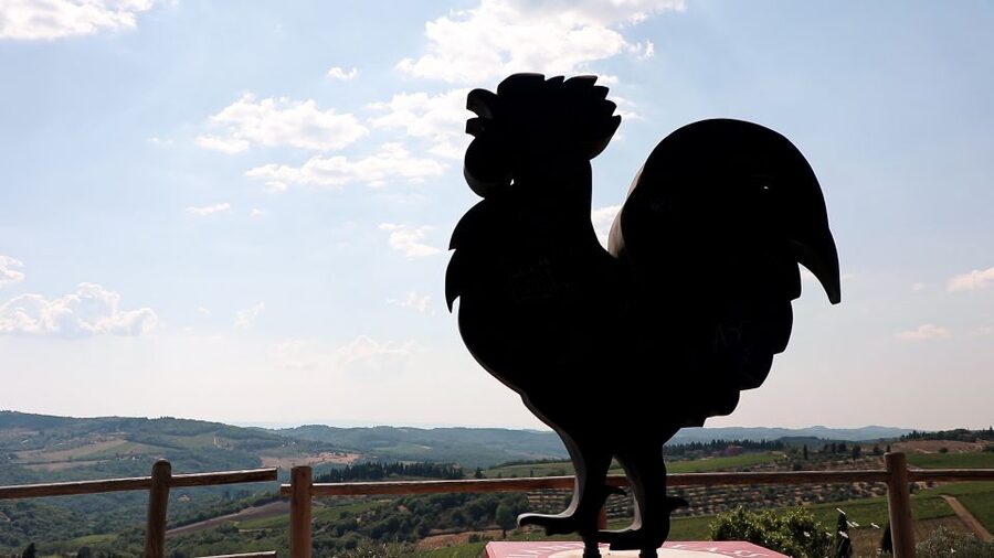 From Florence: Chianti Wine Tour with Tastings - Who Should Book This Chianti Trip?