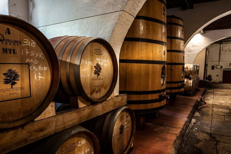 From Florence: Horse Ride and Wine Tour at Estate with Lunch - Key points at a glance