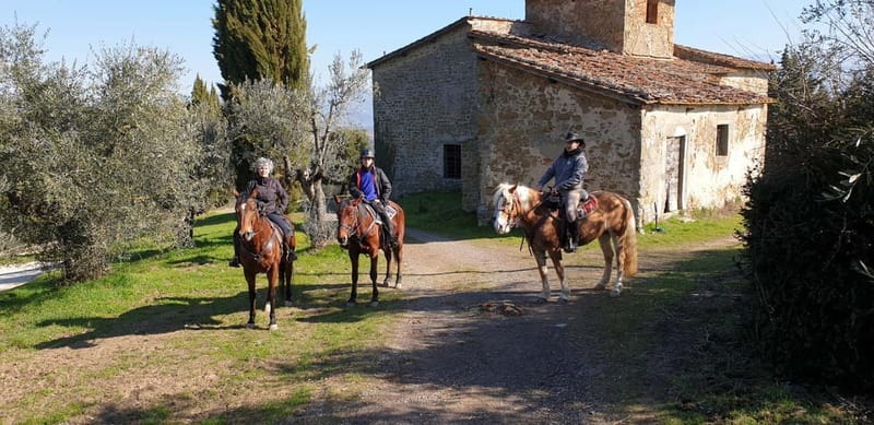 From Florence: Horse Ride and Wine Tour at Estate with Lunch - Four wines and a generous Tuscan-style lunch