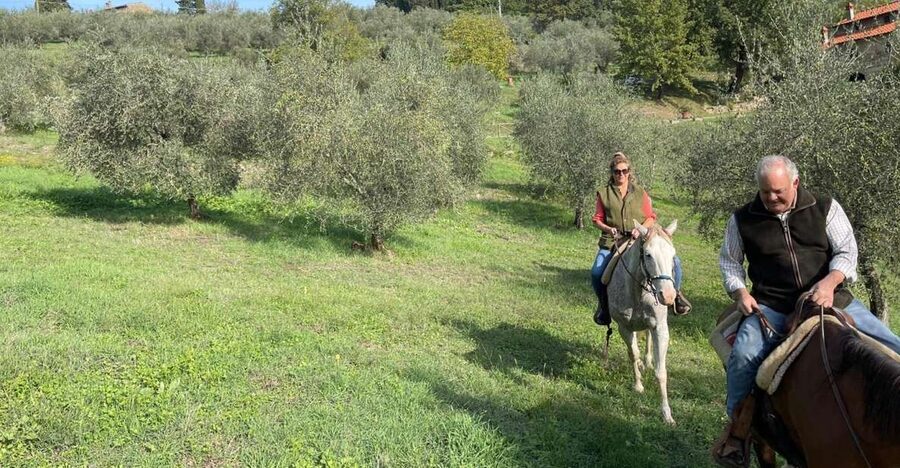 From Florence: Horseback Ride and Olive Oil and food tasting - Key points to know before you book