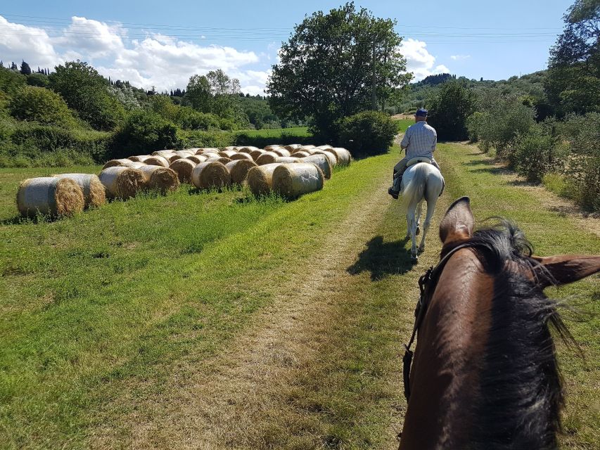 From Florence: Horseback Ride and Olive Oil and food tasting - From medieval manor to working olive presses