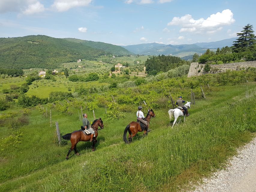 From Florence: Horseback Ride and Olive Oil and food tasting - A Tuscan table with wine and simple local food