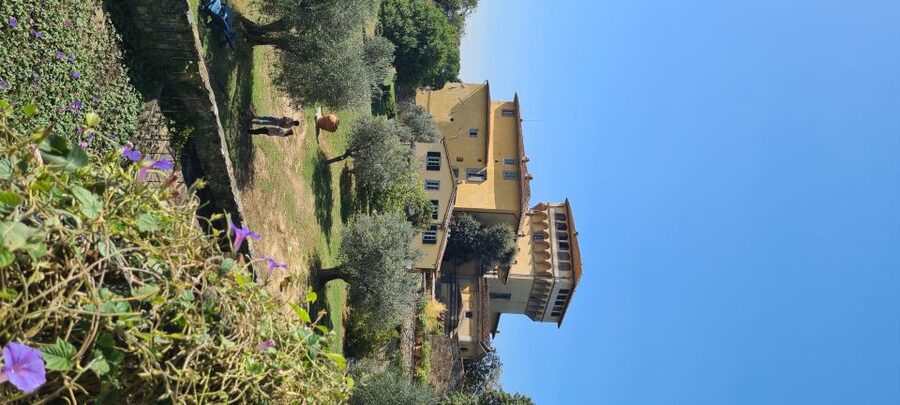 From Florence: Horseback Ride and Olive Oil and food tasting - Does the five-hour format offer good value?