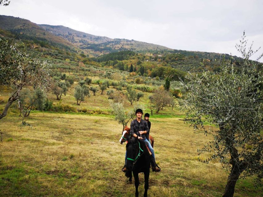 From Florence: Horseback Ride and Olive Oil and food tasting - One hour on horseback among vineyards and olive trees