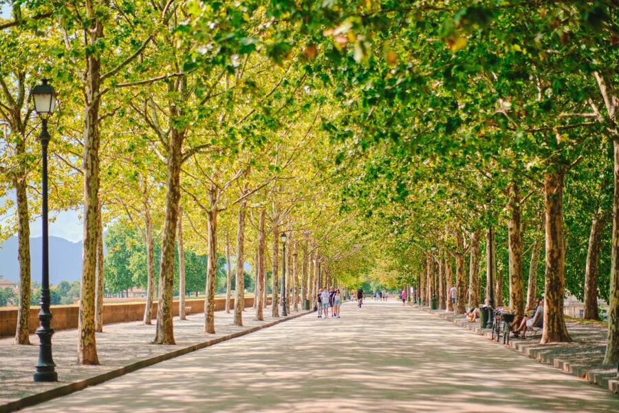 From Florence: Pisa and Lucca Full-Day Private Tour - Lunch, shopping, and the value of open time