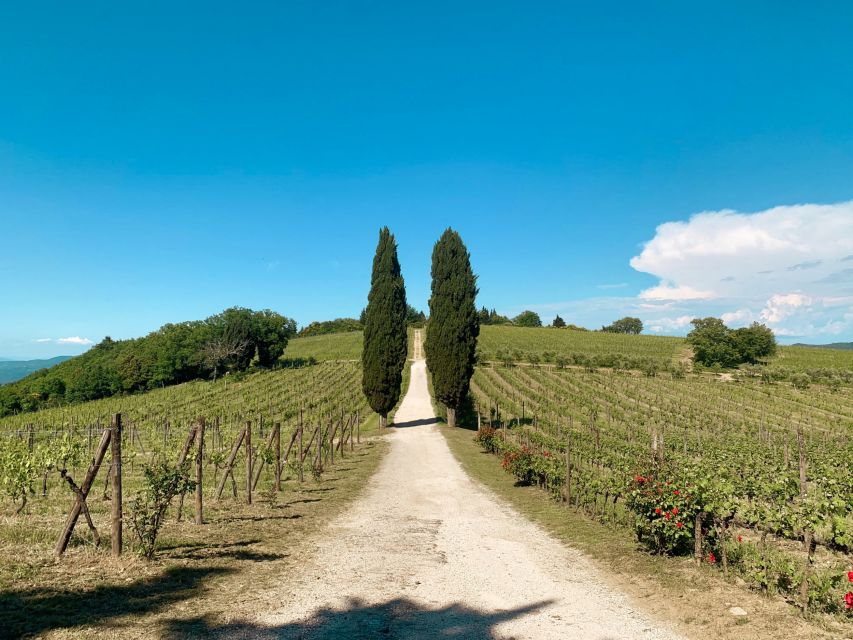 From Florence: Private Chianti Hills Tour with Tasting - Timing, pickup, and practical planning