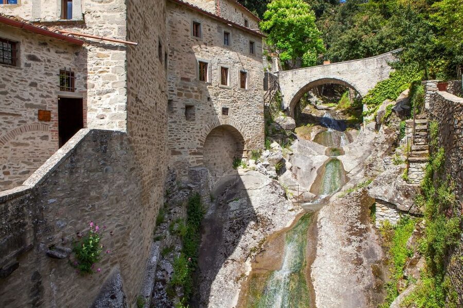 From Florence: Private Day Trip to Assisi and Cortona - Lunch in Assisi, with time to set your own pace