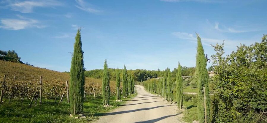 From Florence: Private Half-Day Chianti Tour & Wine Tasting - Leaving Florence for the Chianti hills