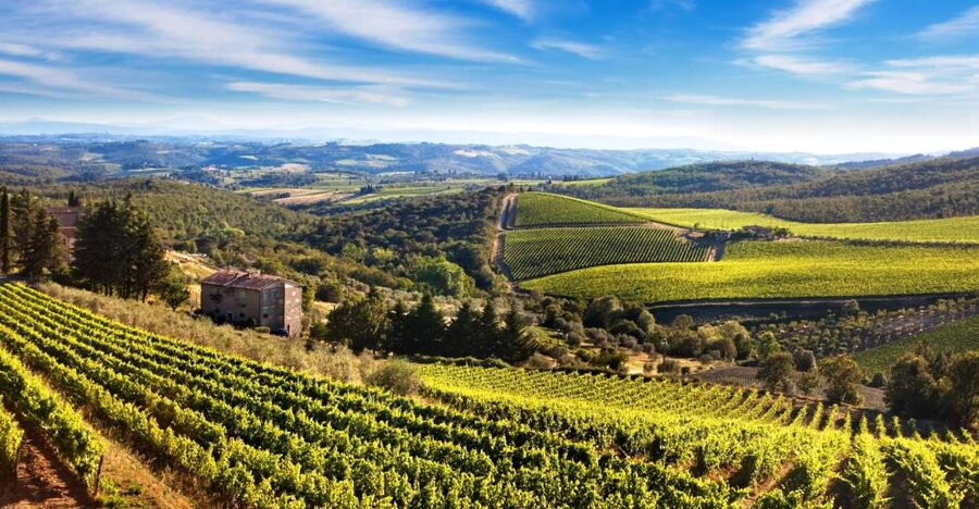 From Florence: Private Half-Day Chianti Tour & Wine Tasting - Five wines, Tuscan snacks, and olive oil
