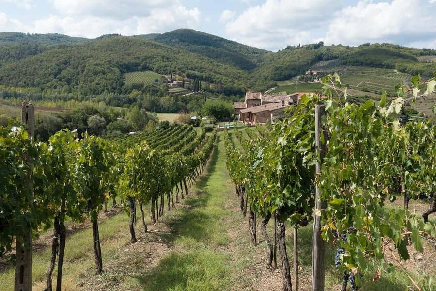 From Florence: Private Half-Day Chianti Tour & Wine Tasting - How the private format affects the value