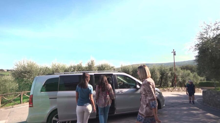 From Florence: Private Half-Day Chianti Tour & Wine Tasting - Choosing the morning or afternoon departure