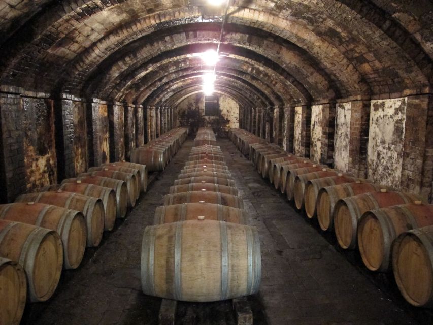 From Florence: Private Wine Tasting Tour in Chianti - What makes this Chianti day special