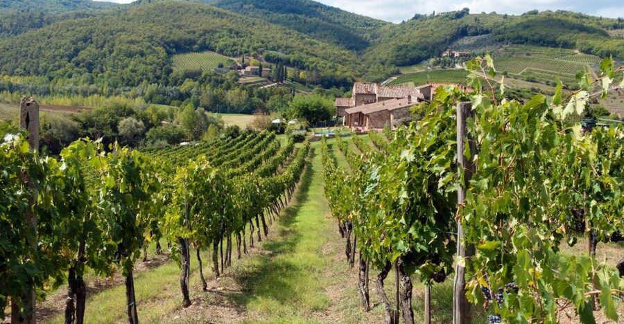 From Florence: Private Wine Tasting Tour in Chianti - Should you book this Chianti wine tour?