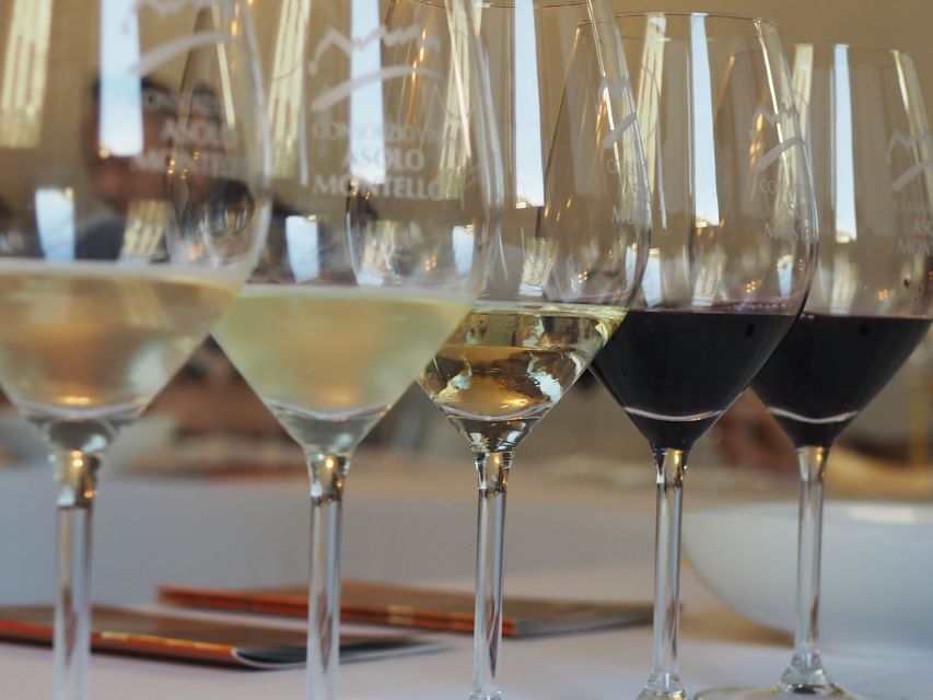 From Florence: Private Wine Tasting Tour in Chianti - From Florence to Chianti in a private car