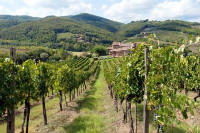 Private Wine Tasting Tour in Chianti