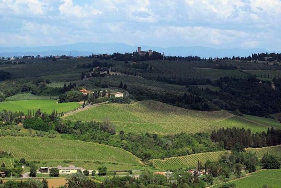 From Florence: Private Wine Tasting Tour in Chianti - What the private format really adds