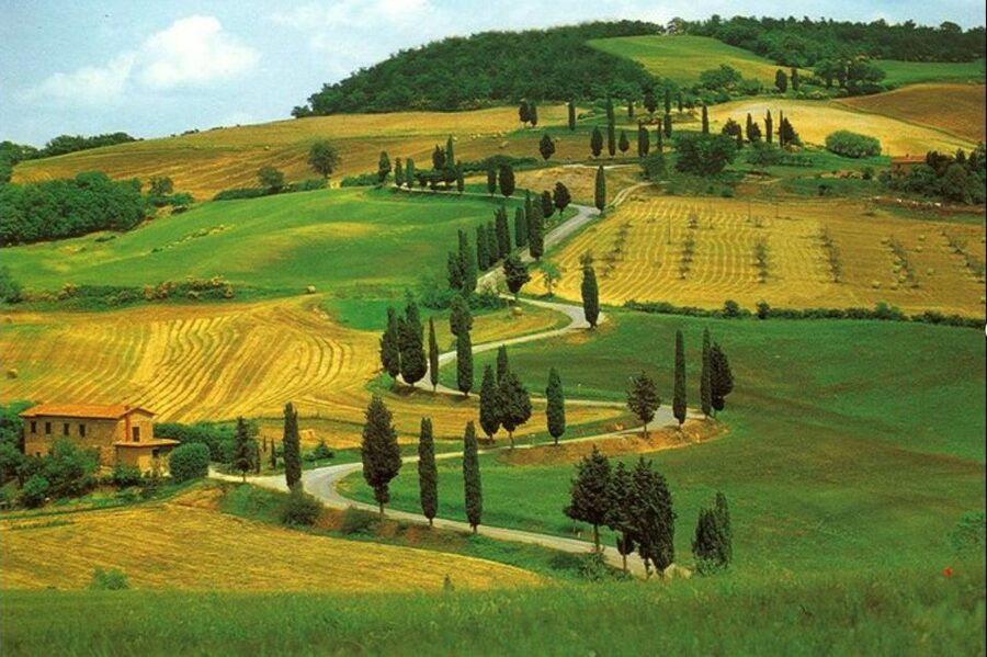 From Florence: Private Wine Tasting Tour in Chianti - Is $586.07 per person good value?