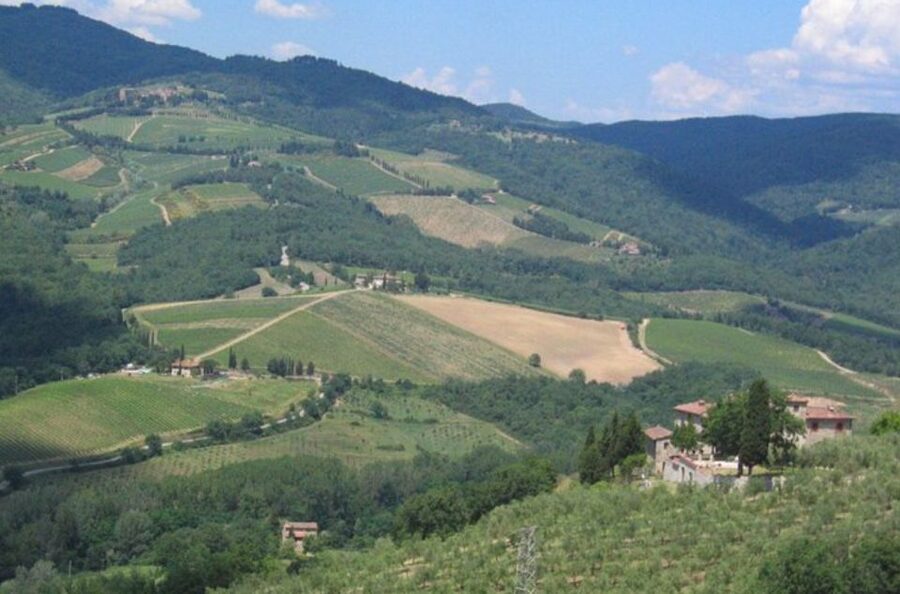 From Florence: Private Wine Tasting Tour in Chianti - Who will enjoy this most