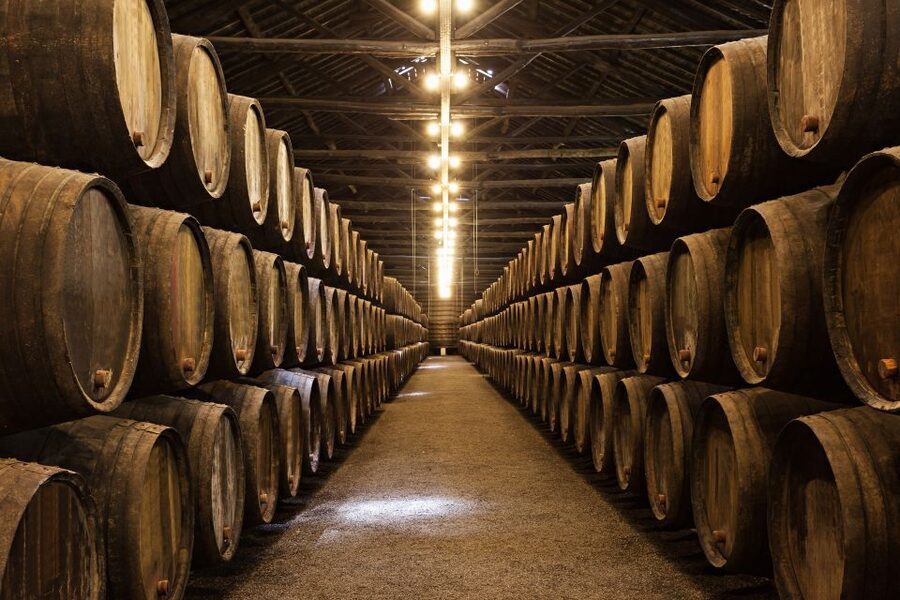 From Florence: Semi Private Deep Wine Chianti San Gimignano - Key points to know before booking