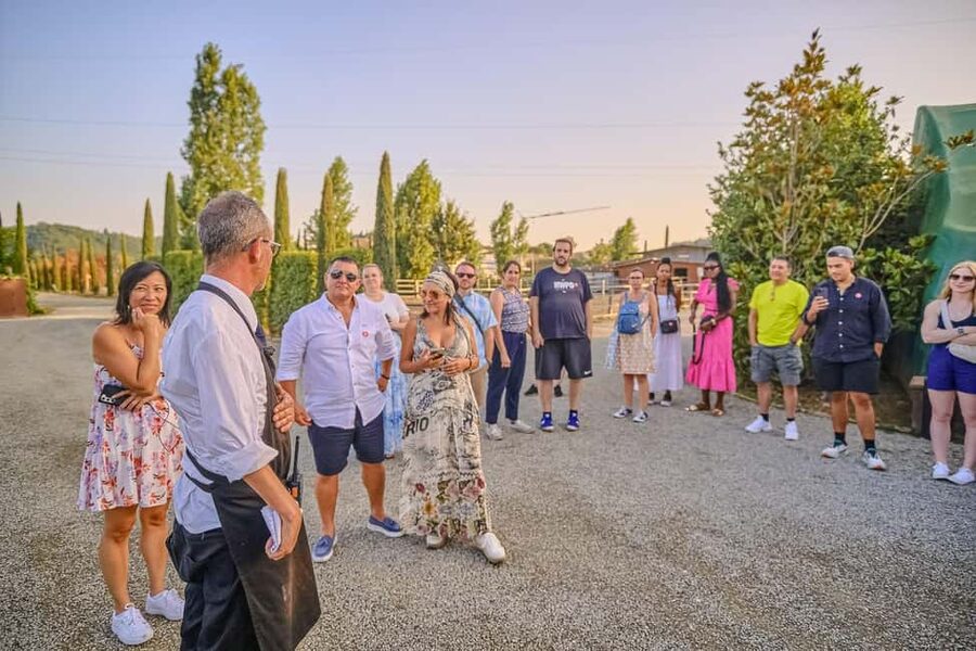 From Florence: Siena and Chianti Day Trip with Dinner - Dinner at a Chianti wine estate