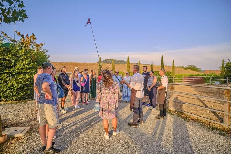 From Florence: Siena and Chianti Day Trip with Dinner - How the timing affects the experience
