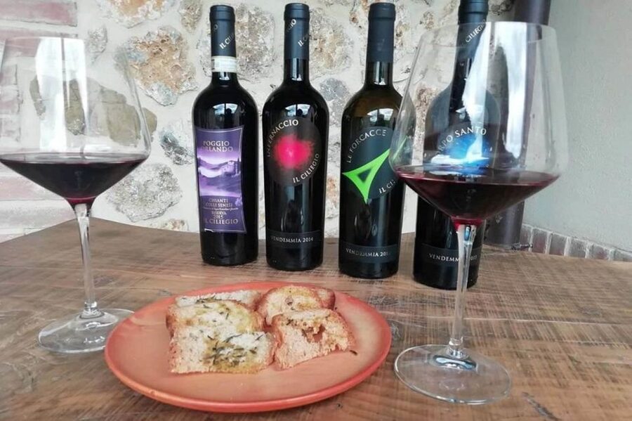 From Florence: Siena & San Gimignano Tour with Wine & Lunch - The organic winery and three-course Tuscan lunch