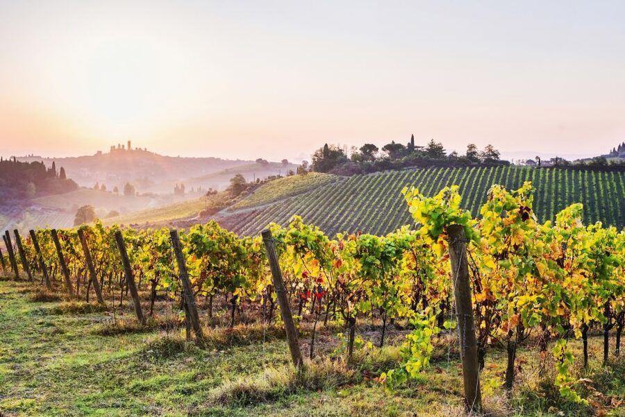 From Florence: Siena & San Gimignano Tour with Wine & Lunch - San Gimignano and its famous towers