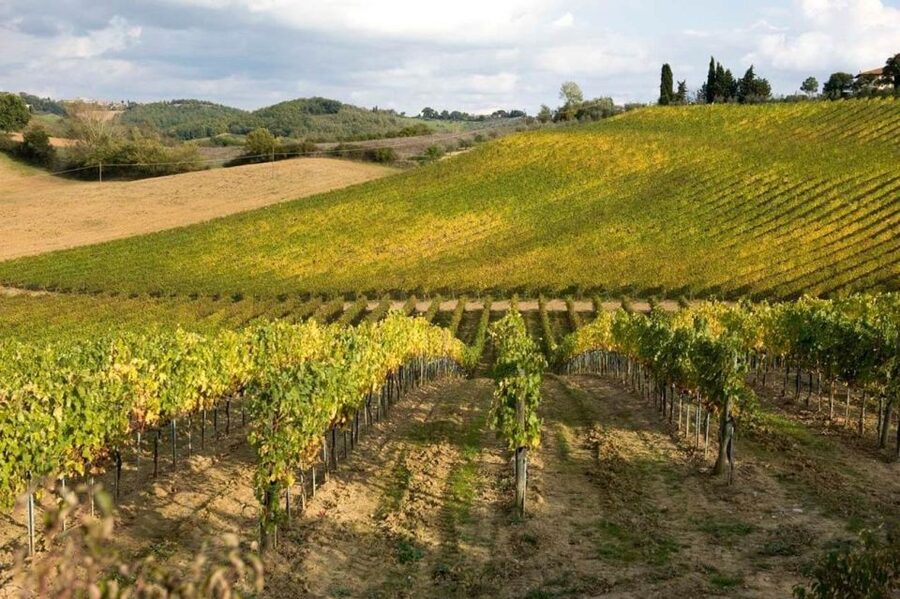 From Florence: Siena & San Gimignano Tour with Wine & Lunch - Is $84.96 good value?