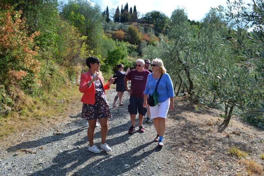 From Florence: Small-Group Chianti Wine Tour 2024 - Should you book this Chianti wine tour?