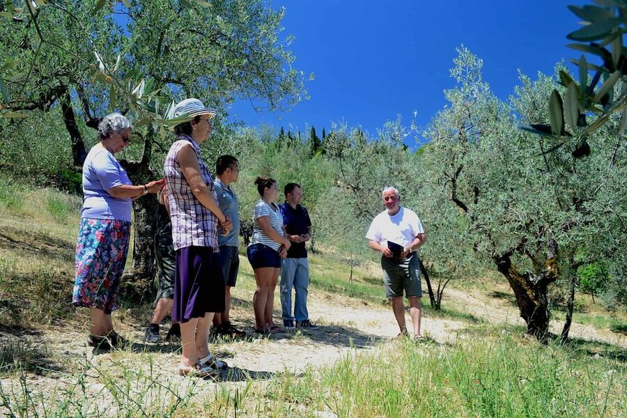 From Florence: Small-Group Chianti Wine Tour 2024 - The afternoon winery and higher-profile wines