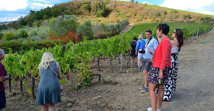 From Florence: Small-Group Chianti Wine Tour 2024 - First winery: cellars, estate wines, and a clear introduction