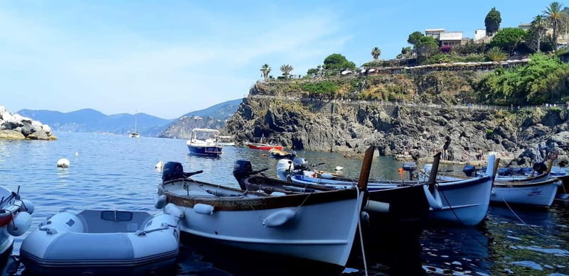 From Florence: Small-group to Cinque Terre and Pisa Day Tour - Walking, weather, and what to pack