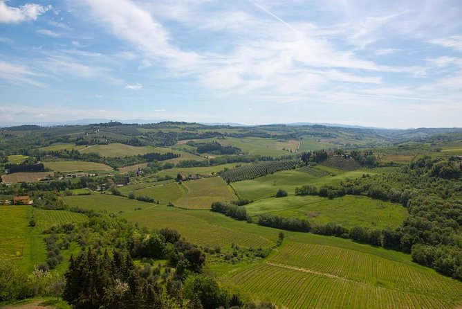 From Florence: Small-Group Tuscany Wine & Oil Tour with typical Tuscan Meal - The guides shape the experience