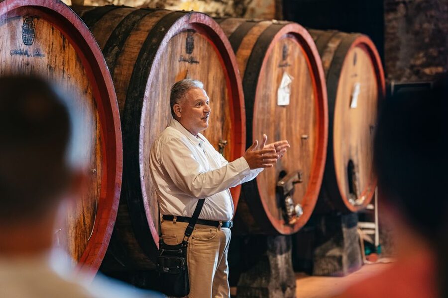 From Florence: Small Group Wine Tasting Tour to Tuscany - What $105 gets you