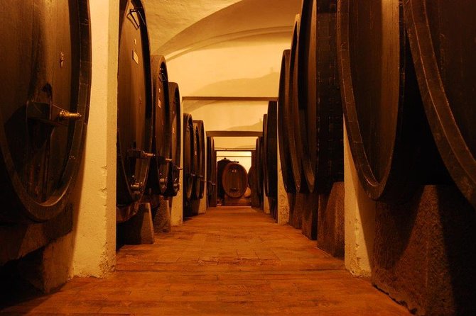 From Florence to Chianti Rufina: Wine Tasting Experience - Who will enjoy this experience most