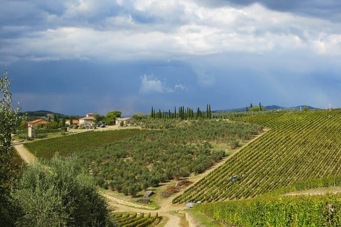 From Florence to Siena - San Gimignano & Pisa by private minivan - San Gimignano in 45 minutes