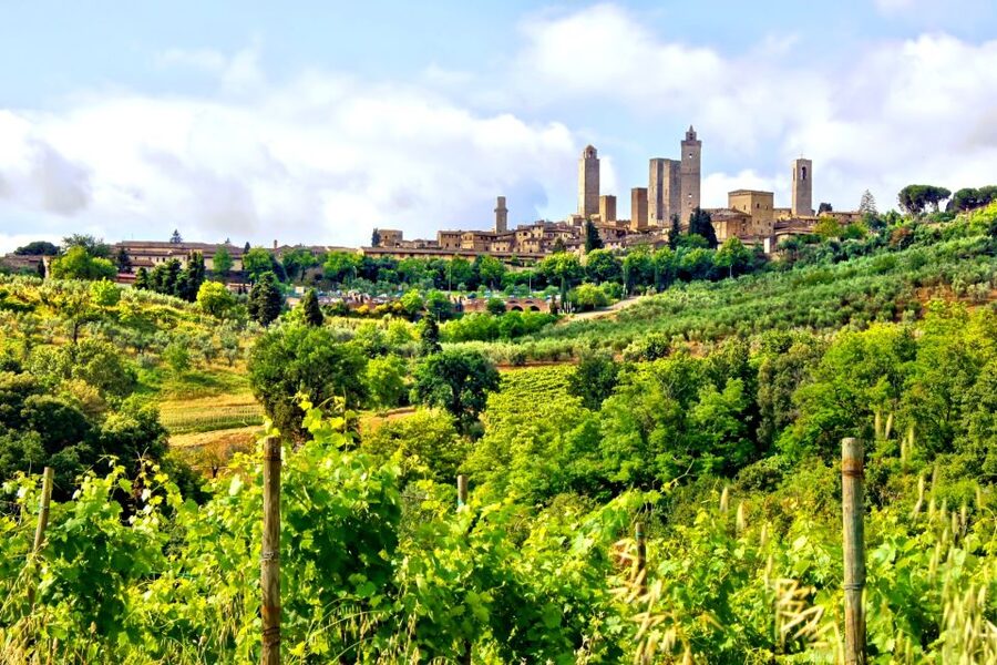 From Florence: Tuscany Day Trip with a Private Chauffeur - Siena and the sweep of Piazza del Campo