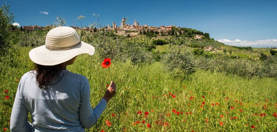 From Florence: Tuscany Highlights Full-Day Tour - San Gimignano and its medieval streets