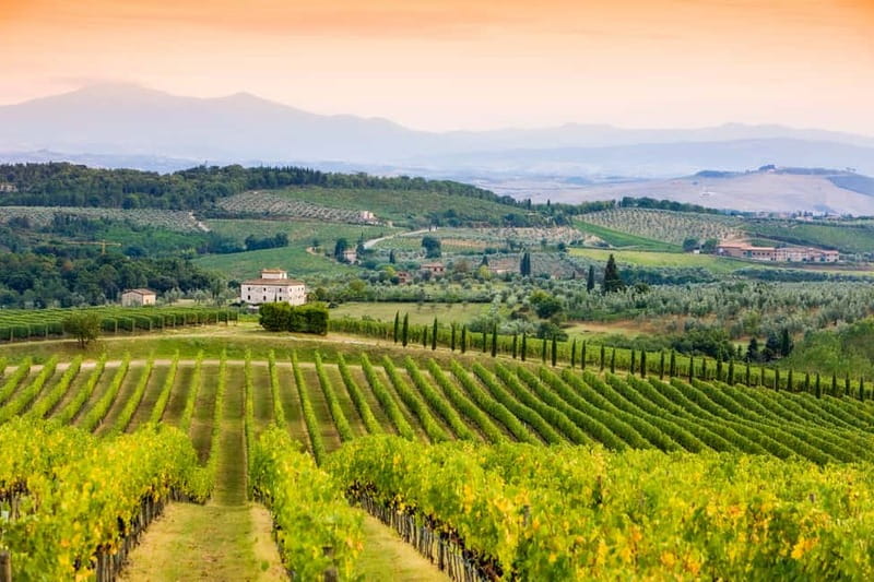 From Florence: Tuscany Wine & Food Tour with Guide - Who will enjoy this day most