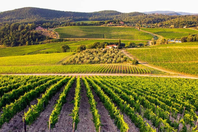 From Florence: Tuscany Wine & Food Tour with Guide - Should you book the Tuscany Wine and Food Tour?