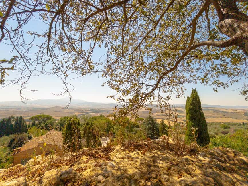 From Florence: Val D'Orcia Tour with Wine Tasting - Montalcino and its Brunello cellar