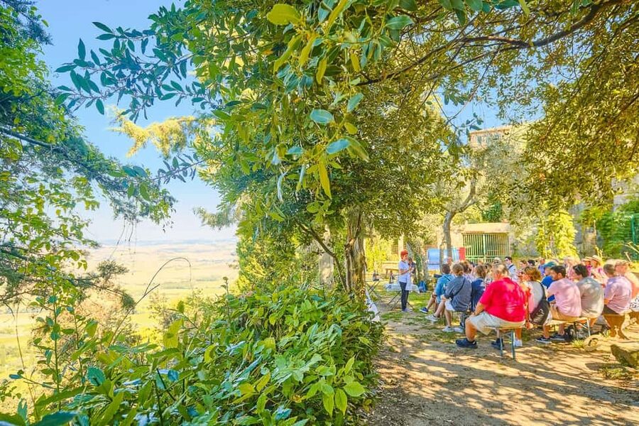 From Florence: Val D'Orcia Tour with Wine Tasting - Montepulciano and Vino Nobile underground