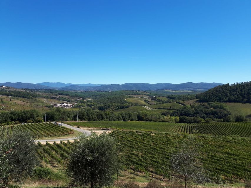 From Florence: Vintage Fiat 500 Chianti & Tuscany Wine Tour - Key points at a glance