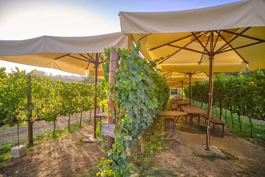 From Florence: Wine Tasting and Dinner in Chianti Vineyards - The Chianti afternoon at a glance