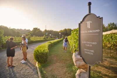 Wine Tasting and Dinner in Chianti Vineyards
