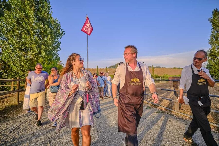 From Florence: Wine Tasting and Dinner in Chianti Vineyards - Food requirements and practical comfort